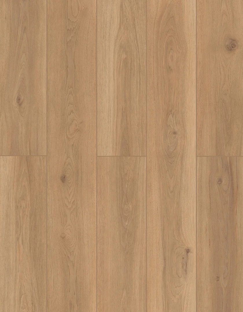 85   スティーブンステイルバーグ Backyard Garnish - StonewoodFloors